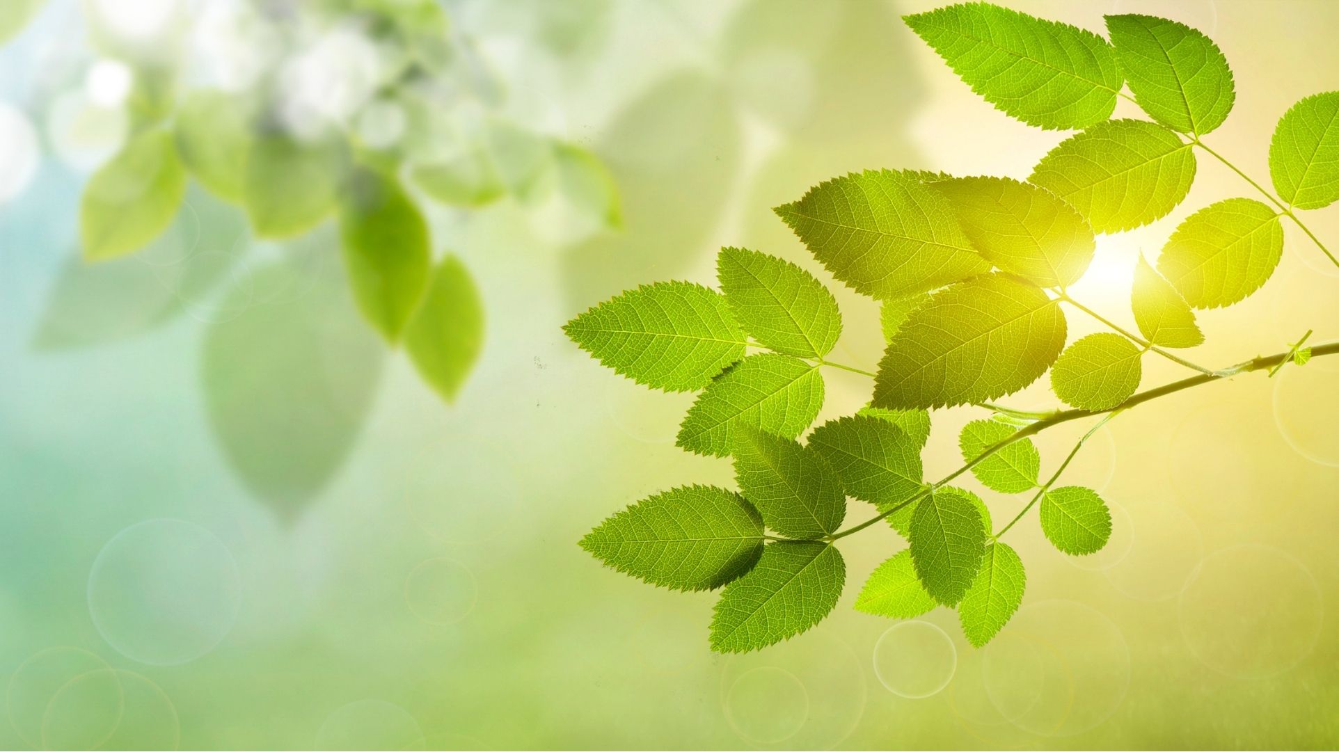 website laten maken voor mijn praktijk